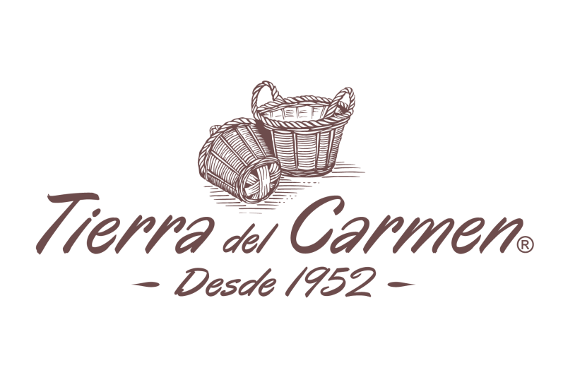 Curriculum vitae comercializadora 06 picture